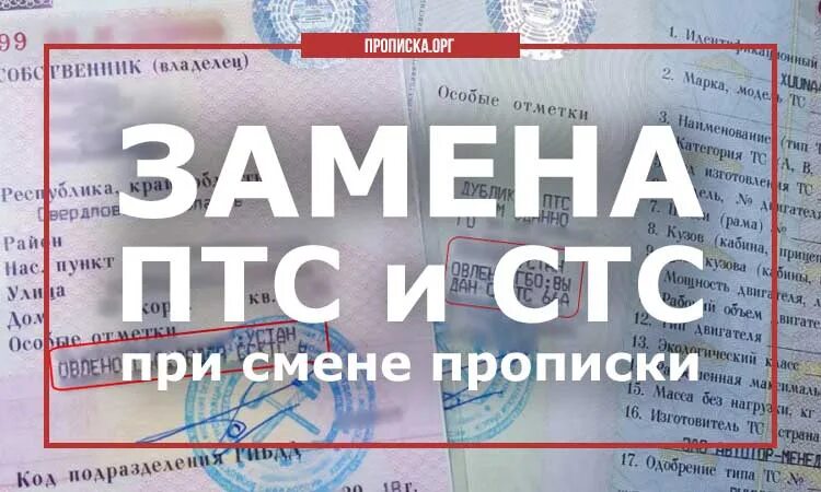 Ип сменил прописку. Изменения в ПТС при смене прописки. ПТС при смене прописки. СТС автомобиля при смене прописки. Менять ПТС при смене прописки.