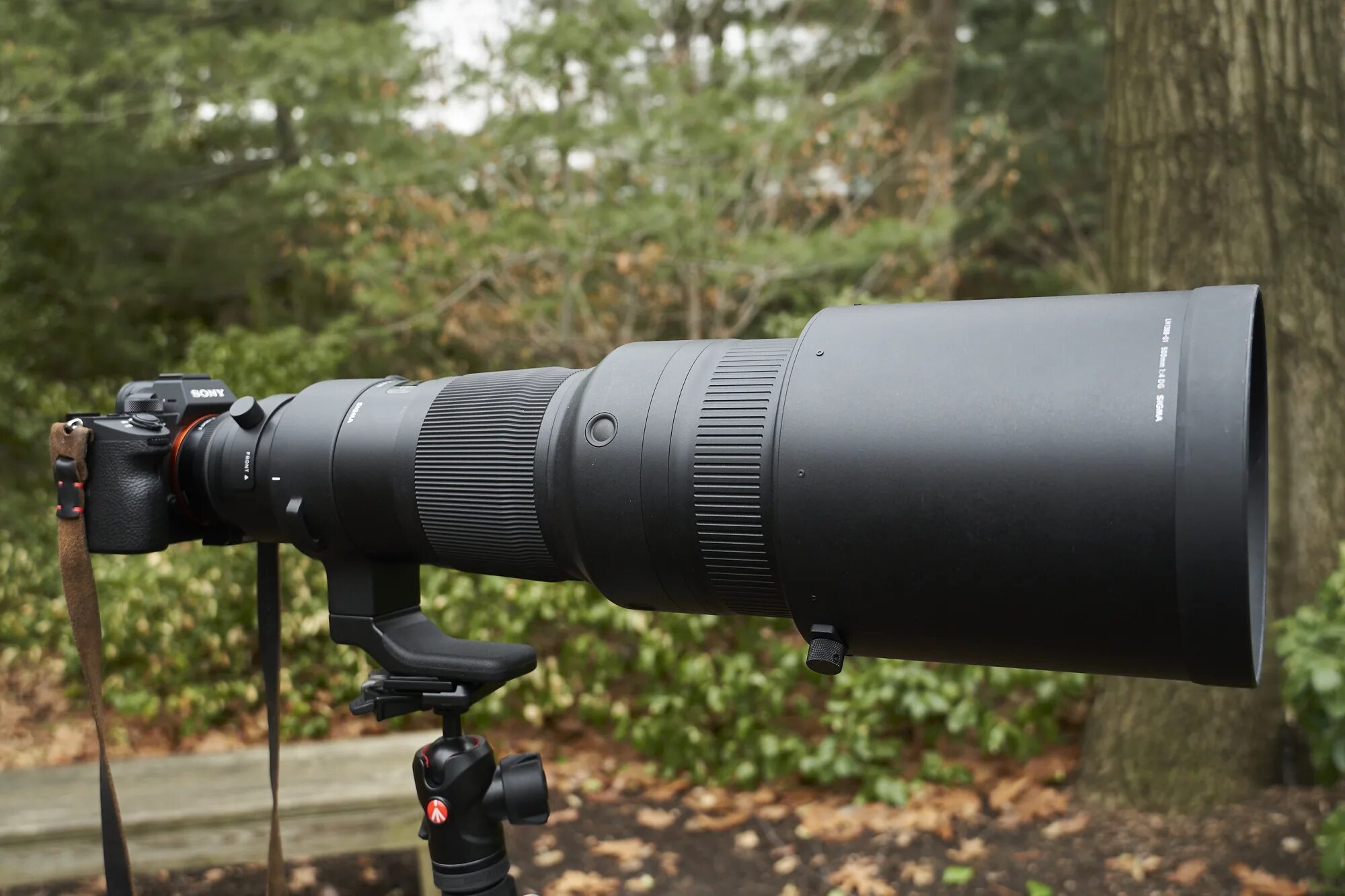 Sigma 500mm. Sigma 300–800mm f/5.6 ex DG HSM Lens. Сигма 500 мм. Sigma 300-800. Sigma 200-500 f/2.8.