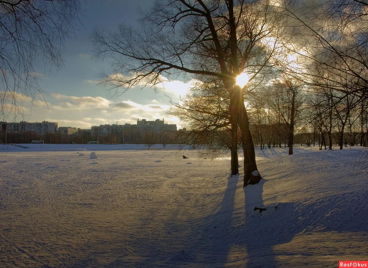 Зима в городе. Заснеженная дорога в лесу. Горпарк саратов ранней весной. Заснеженный лесопарк. Обои конец зимы в городе.