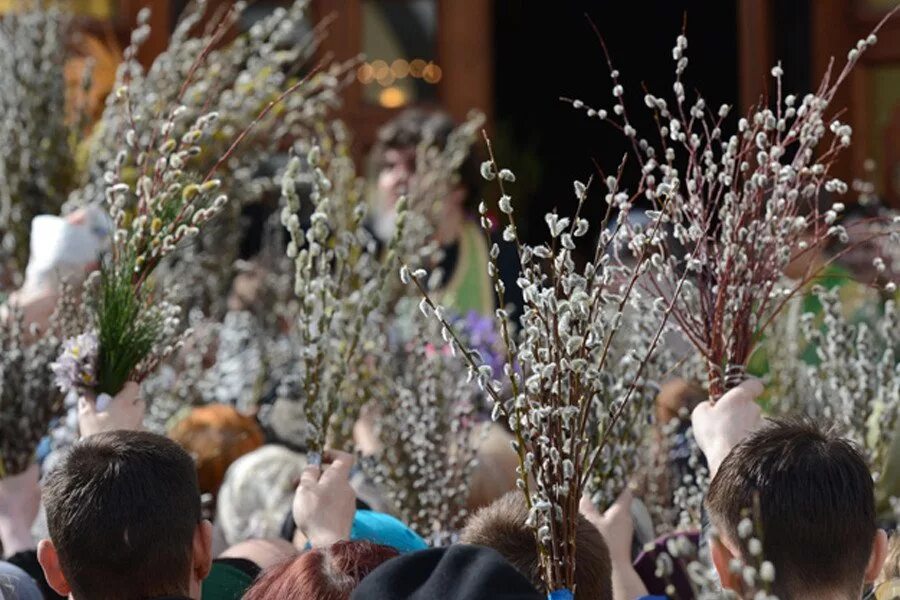 Масленица вербное воскресенье пасха. Вербное воскресенье у католиков. Вход Господень в Иерусалим Верба. Вербное воскресенье Вербена. Верба храм.