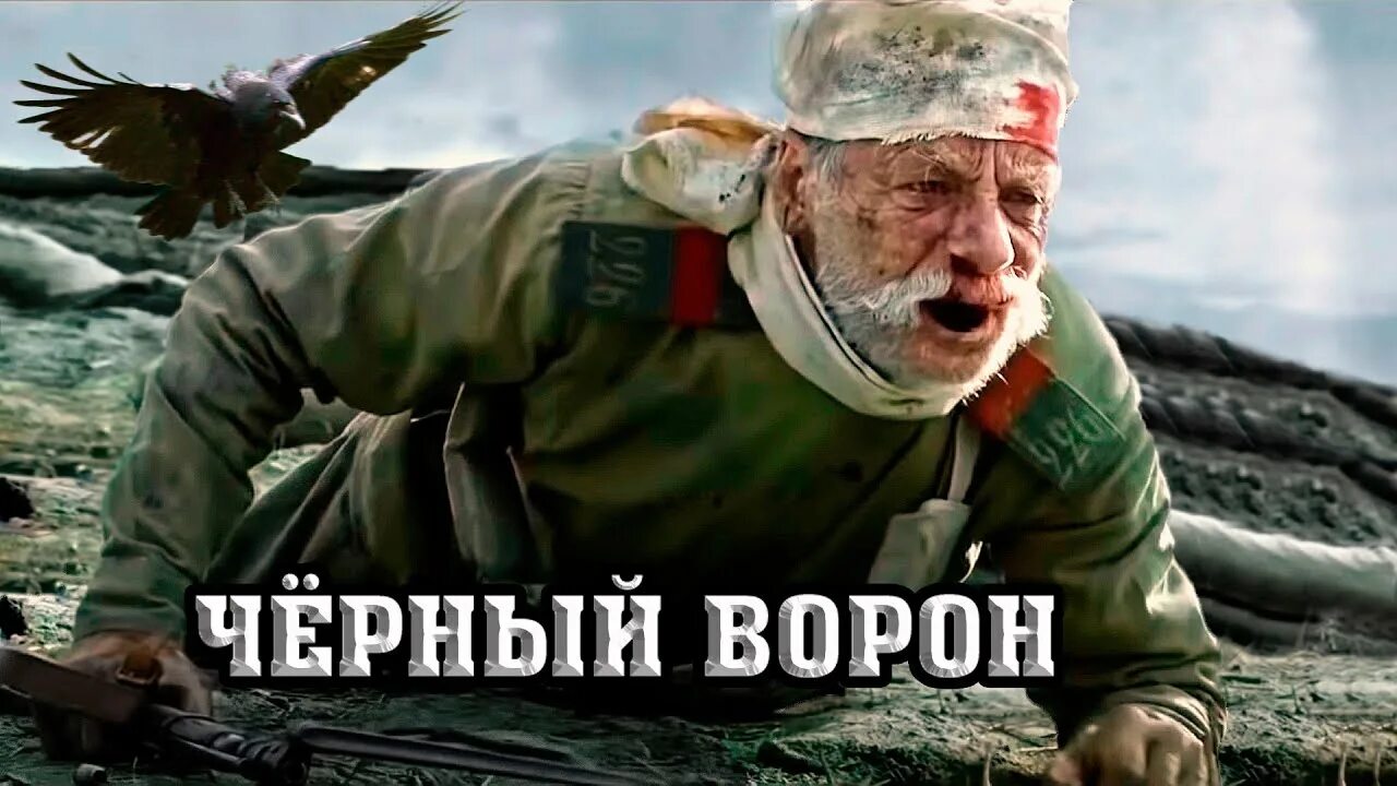 Песня черный ворон исполнение. Чёрный ворон песня. Ворон песня. Вороны песня. Чёрный ворон Казачья песня.