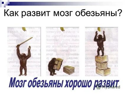 Деятельность человека учебники
