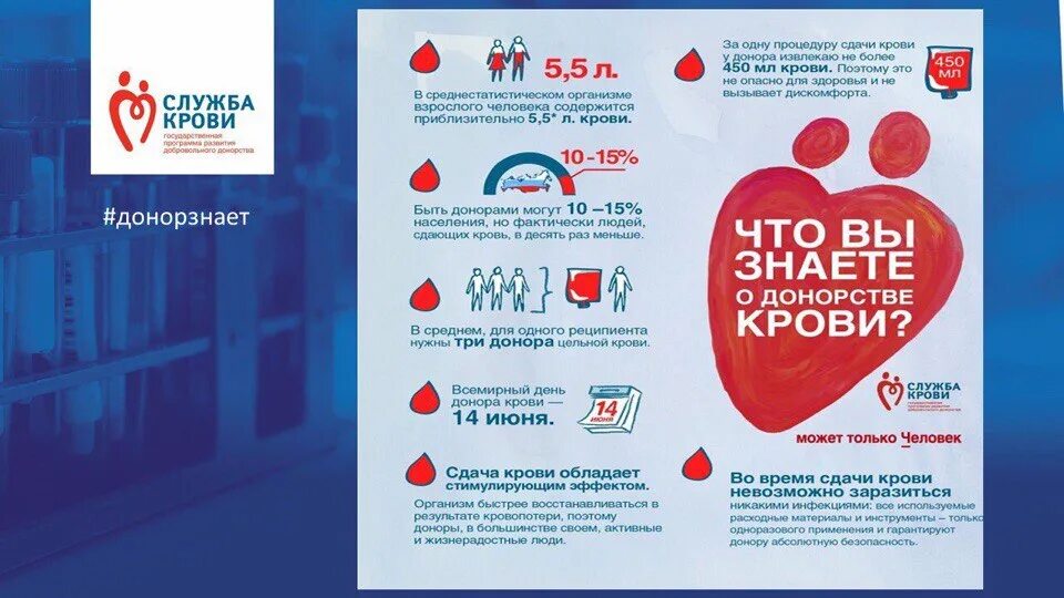 Как стать донором в спб