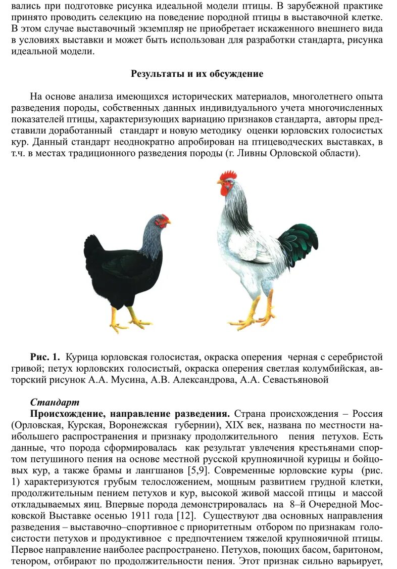 Куры породы Юрловская голосистая. Куры Юрловские голосистые описание породы. Куры несушки Юрловские. Стандарт Юрловской голосистой породы кур. Адлерская порода кур яйценоскость