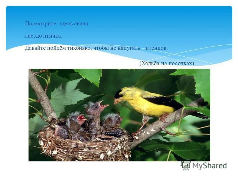 проверочные слова. проверочное слово к слову слова. сторонае проверочное слово. подобрать проверочное слово. г и к проверочные слова.