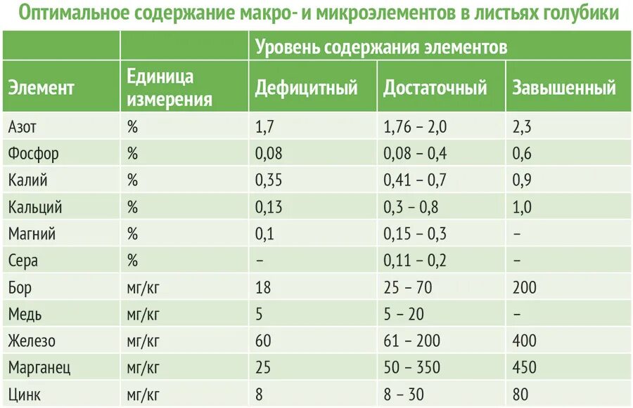 Подкормка голубики весной и летом. Схема удобрений голубики. Таблица подкормок голубики. Таблица подкормки голубики удобрениями. Схема подкормки голубики таблица.