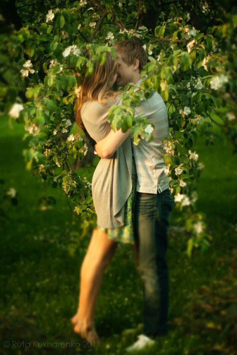 Пара яблонь. Рута Кухаренко. Влюбленная пара в саду. Влюбленные на природе. Пара в весеннем парке.