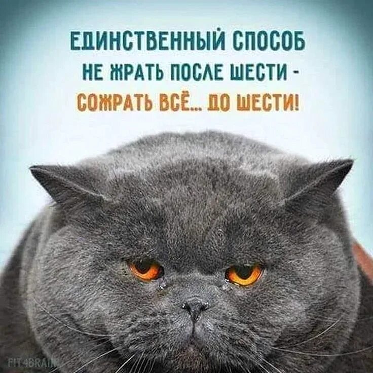 Картинка прикол со словами