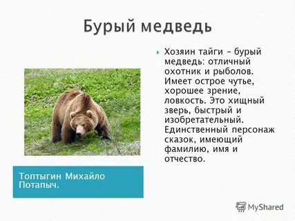 Слово бурый