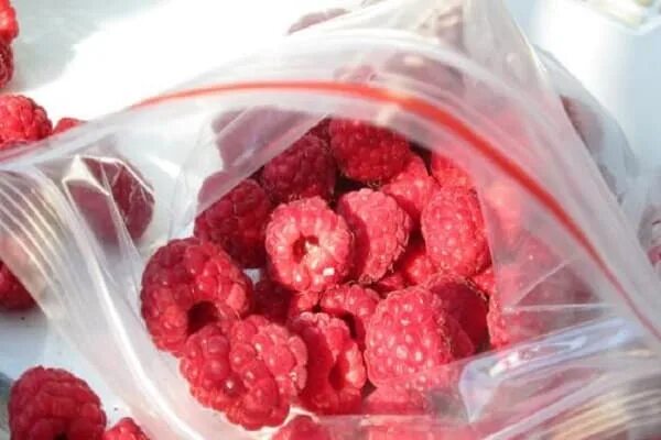 как заморозить малину на зиму в морозилке. малина с сахаром. замороженные ягоды в контейнерах. замороженные ягоды в контейнерах. малина ягоды замороженные.