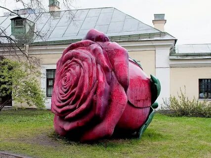 Описание розы санкт петербург