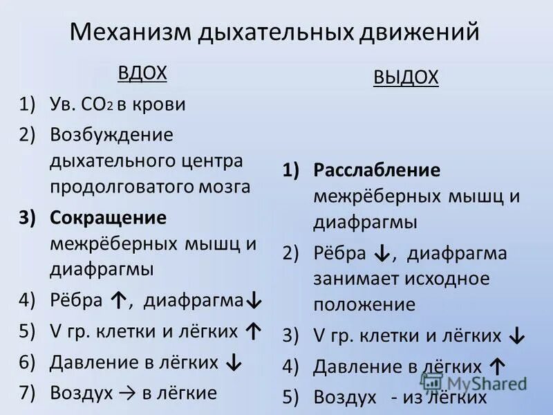 Последовательность процессов при дыхании. Вдох последовательность процессов. Последовательностьпроцнссов при дыхании. Последовательность процессов при вдохе.