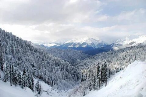 Времена года грузия