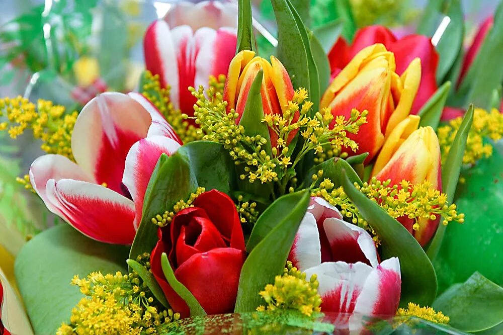 праздник весны цветов и любви. праздник весны цветов и любви. поздравление с праздником весны. праздник весны цветов и любви. праздник весны цветов и любви.