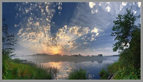 Белые ночи природа
