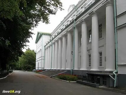 Гимназия высшая