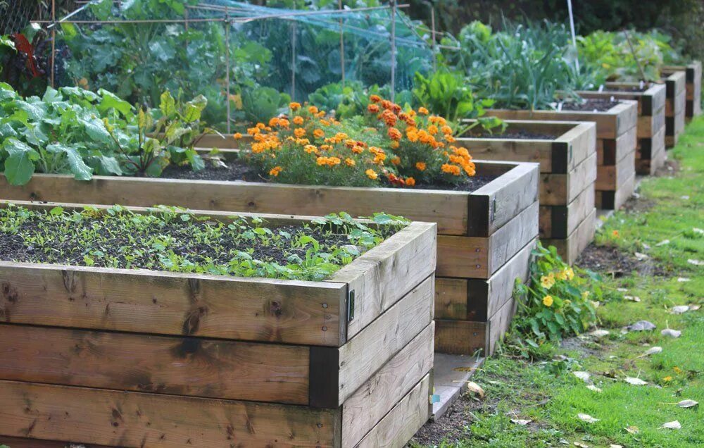 Build a garden