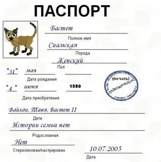 Как сделать документы котенку
