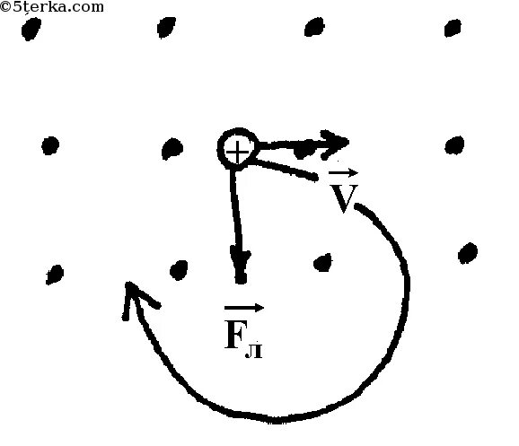 Определить направление силы лоренца на протон. Направление силы действующей на частицу. Определите направление силы действующей на частицу. Сила Лоренца действующая на Протон. Определите направление силы действующей на частицу в магнитном поле.