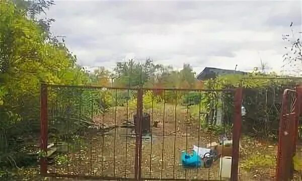 Погода в расловке 2 саратовская область саратовский. Снт труд саратов. расловка 1 саратовская область снт тополек. расловка 1 саратов дачи снт лотос-1. снт магистраль саратов расловка 1.