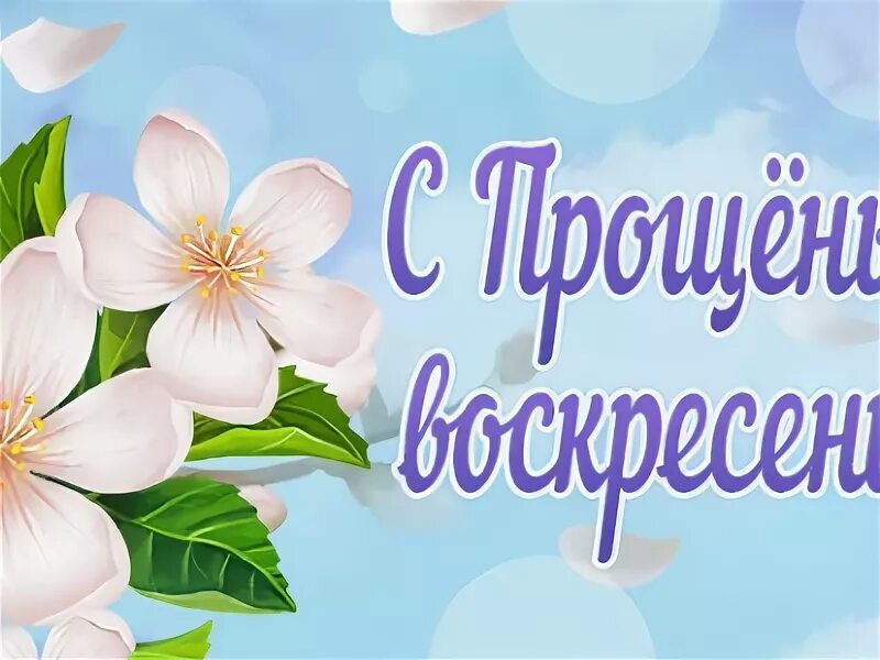 Прощенное воскресенье открытки без текста. Прощеное воскресенье. прощеное воскресенье открытка с цветами. с прощенным воскресеньем цветы. прощеное воскресенье открытка стильная.