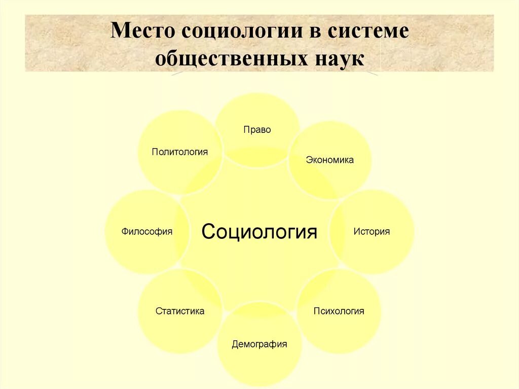 Системы знаний об обществе. Социология и другие науки. Связь обществознания с другими науками. Место социологии. Взаимосвязь социологии с другими социальными науками.