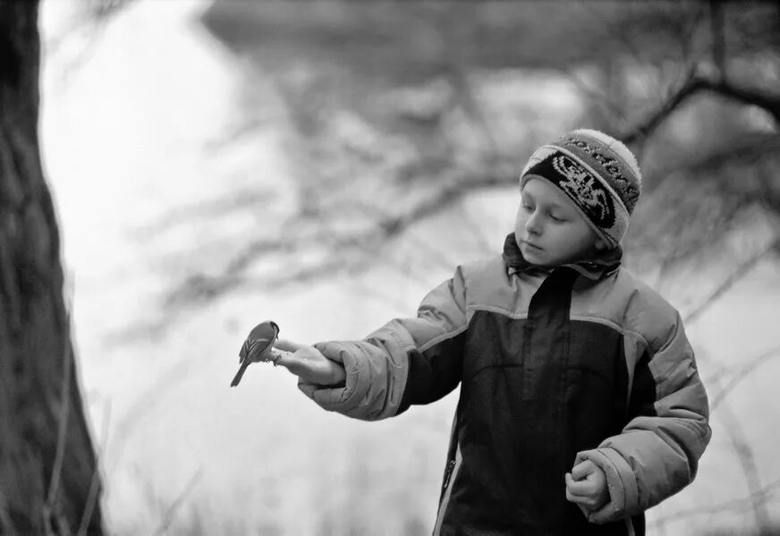птицы для детей. мальчик с птичкой картина. мальчик и птица кто автор. мальчик и птица кто автор. гордый мальчик.