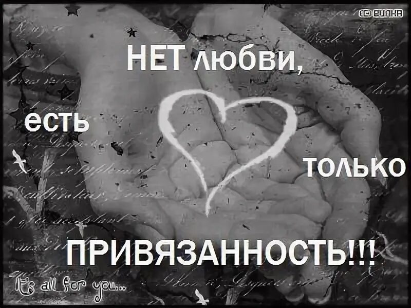 Любви не существует цитаты. Любви нет. любви нету. любви нет есть только привязанность.