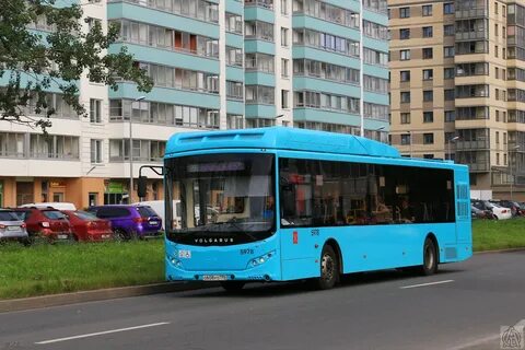 Автобус 265 спб