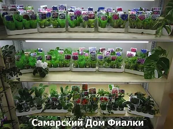 Цветочный магазин самарское