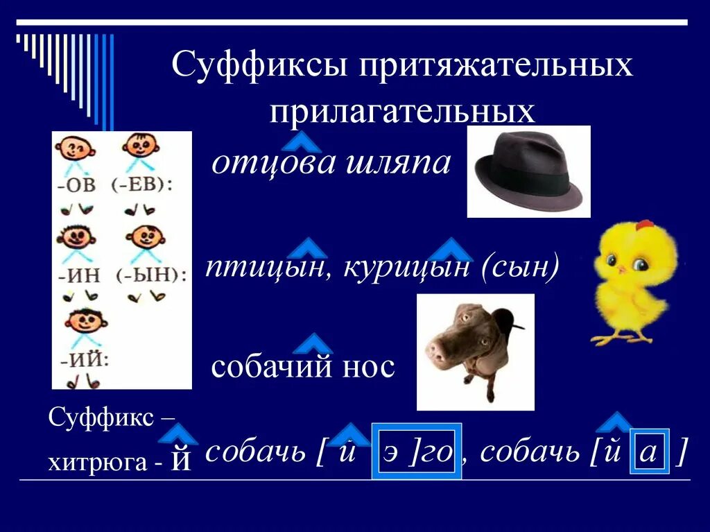 10 притяжательных слов. Притяжательные прилагательные. Притяжательное прилагатель. Притяжатнльные прилогат. Притяжательные ПРИШАГ.