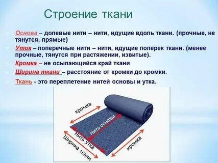 Вдоль полотна