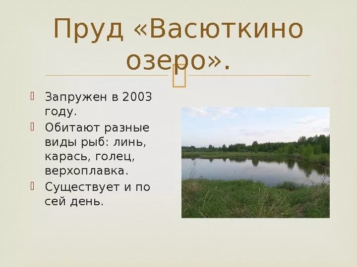 Какая рыба водилась в озере васюткино. Васюткино озеро на карте. Васютенко озеро схема. Где находится Васюткино озеро. Васюткино оз на карте РФ.