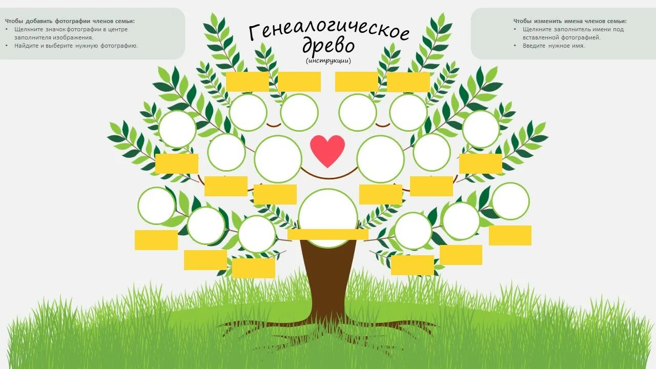 Дерево однкнр. Семейное дерево. проект родословное дерево. проект мое родословное дерево. генеалогический проект.