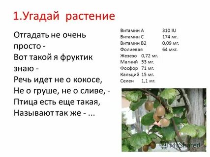 Какие витамины в груше