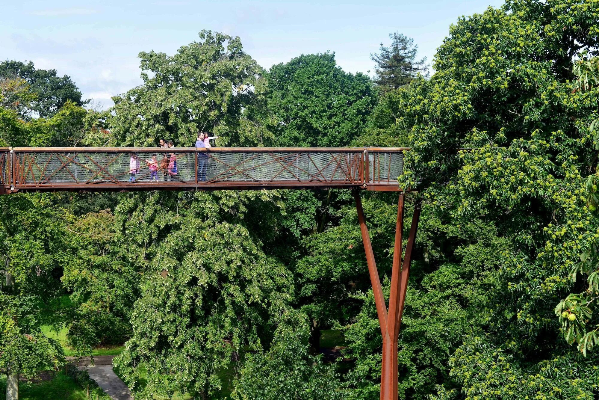 Над верхушками деревьев. Сады кью treetop walkway. аллея над верхушками деревьев сад кью. walkway kew gardens. королевские ботанические сады лондона аллея treetop.