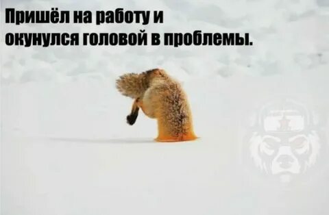 Когда можно будет выйти на работу