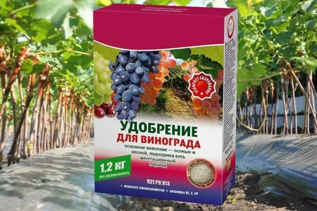 Чем удобрять виноград весной. Удобрение для винограда. Подкормка винограда. Подкормка и удобрение винограда. Удобрение виноградников.