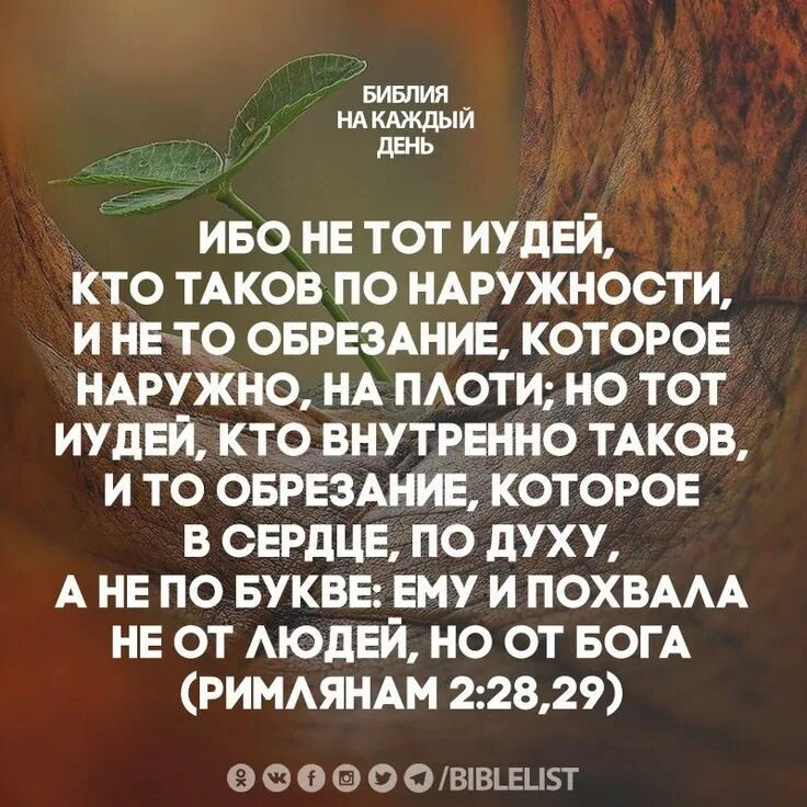 Ибо не тот иудей кто таков по наружности. Кто молятся Иуде. Ибо не тот иудей кто. Ничьими похвалами не возносись