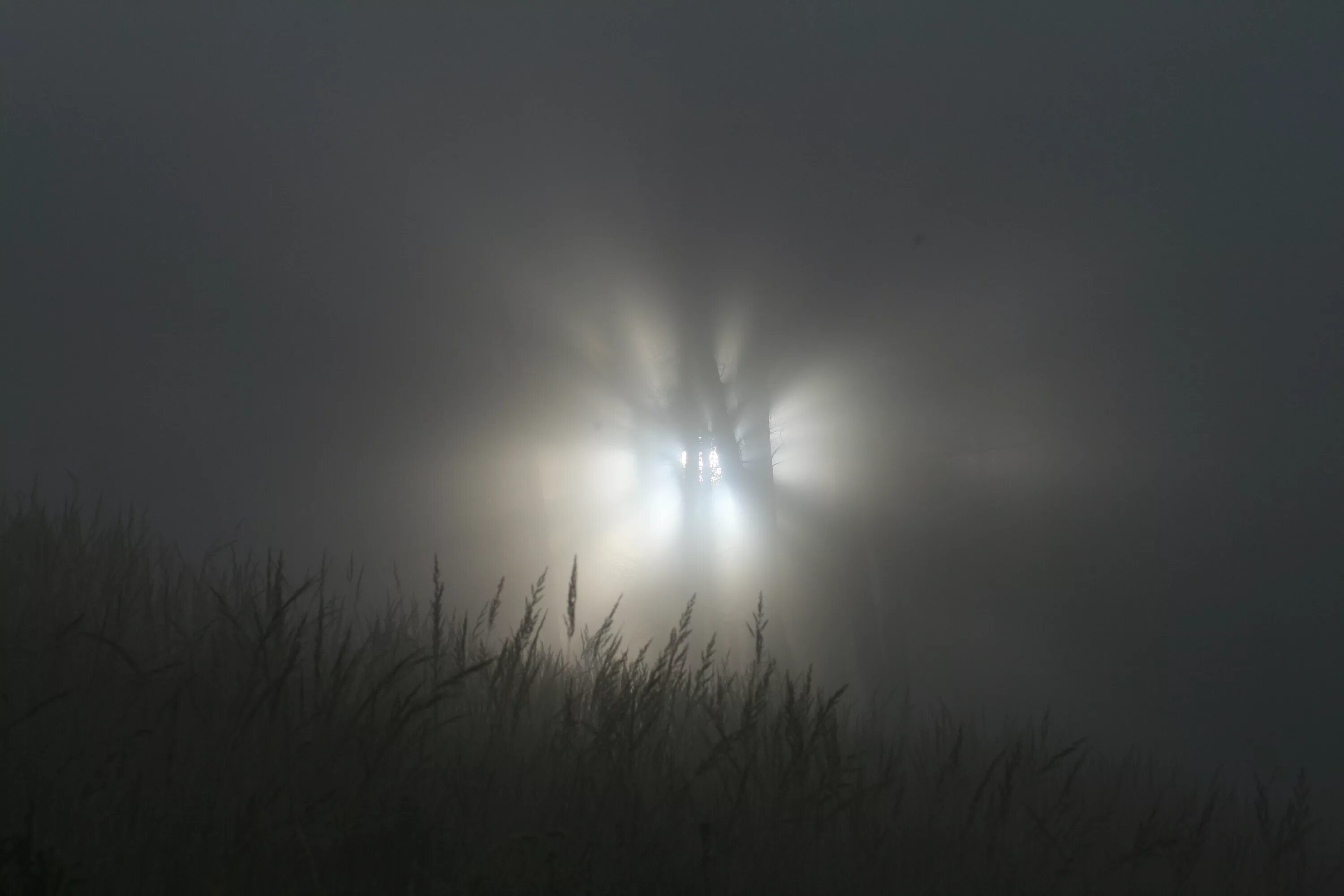 Неизвестный луч света. Свет в тумане. Солнце в тумане. Туман ночью. Луч света во тьме.