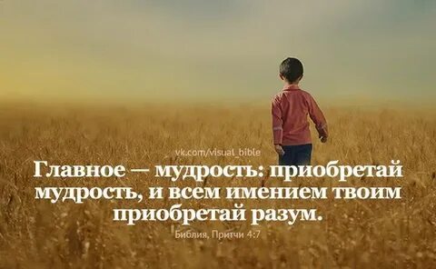 Нажитая мудрость