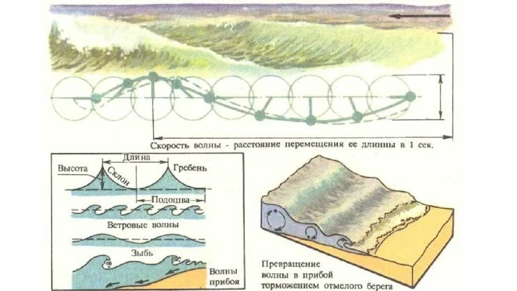 Движение волн. Строение ветровой волны схема. Схема образования ветровой волны. Строение волны схема. Структура морской волны.