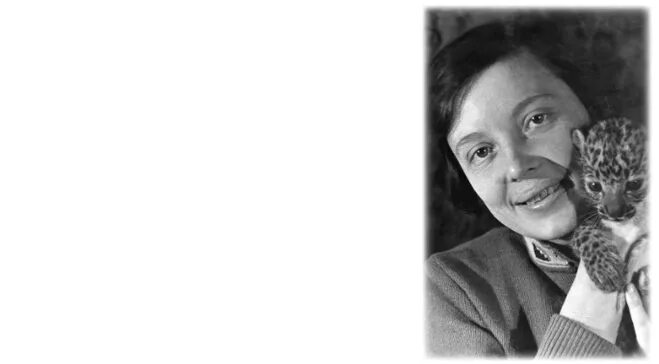 Автор чаплина. Автор чаплина. Питомцы веры чаплиной. Автор чаплина. Автор чаплина.