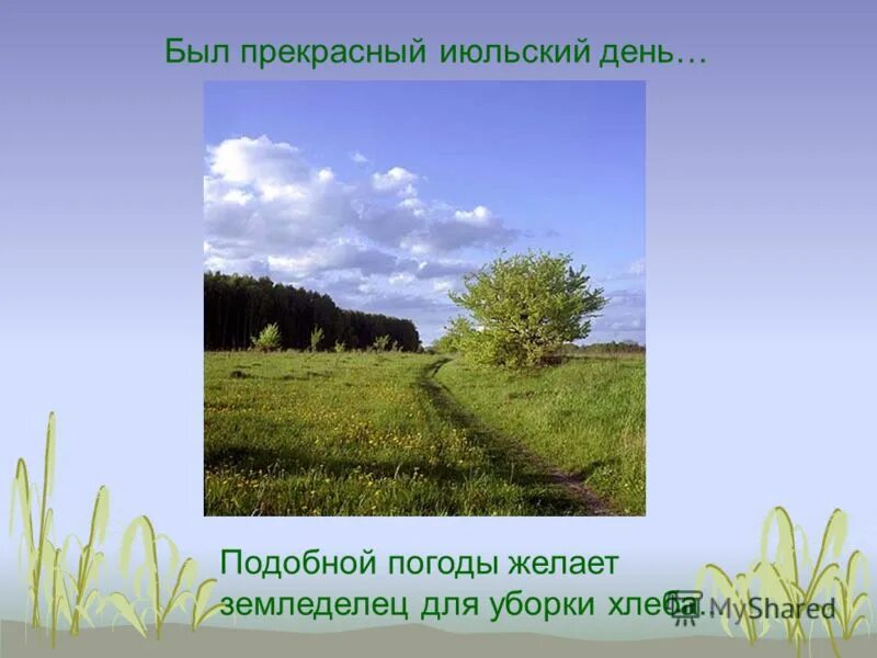 Роль картин природы в рассказе. Описание произведения бежин луг. Пейзажи бежин луг тургенев. Пейзаж бежин луг тургенева. Пейзаж к произведению бежин луг.
