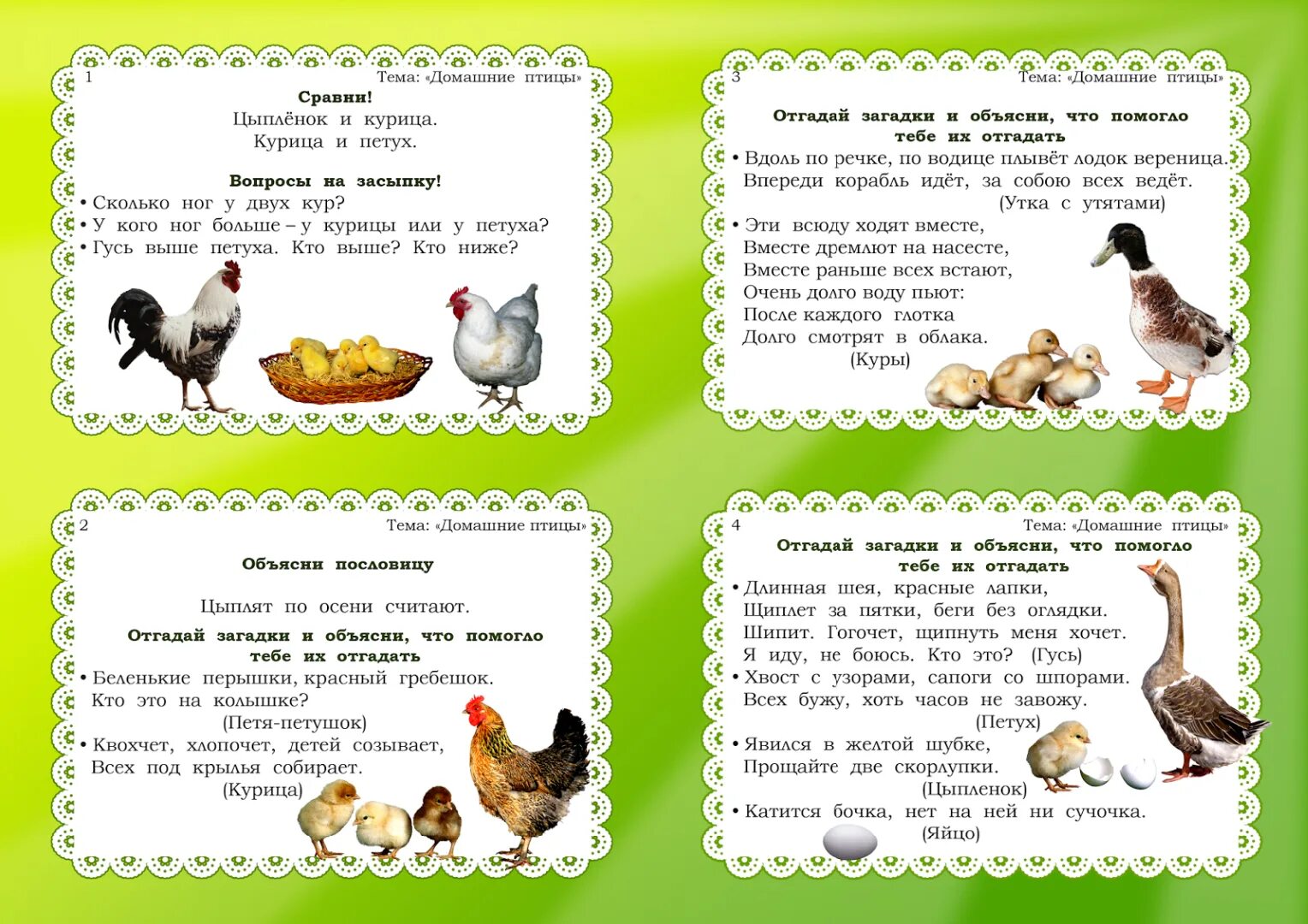 Домашние птицы. Малыши. Домашних птиц для дошкольников. Задание по развитию речи по теме домашние животные. Занятие домашние птицы.