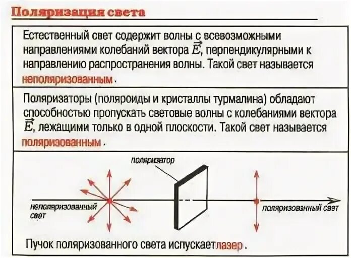 Поляризация общества