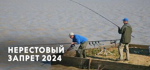 Нерестовый запрет 2024 московская область сроки