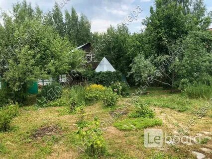 Снт лапино