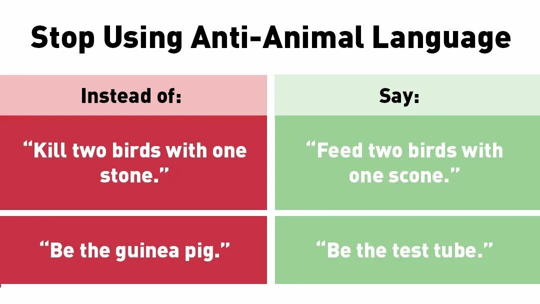 Stop using me. Feed feeds правило. стоп специесизм. feed two birds with one scone. stop using meme.