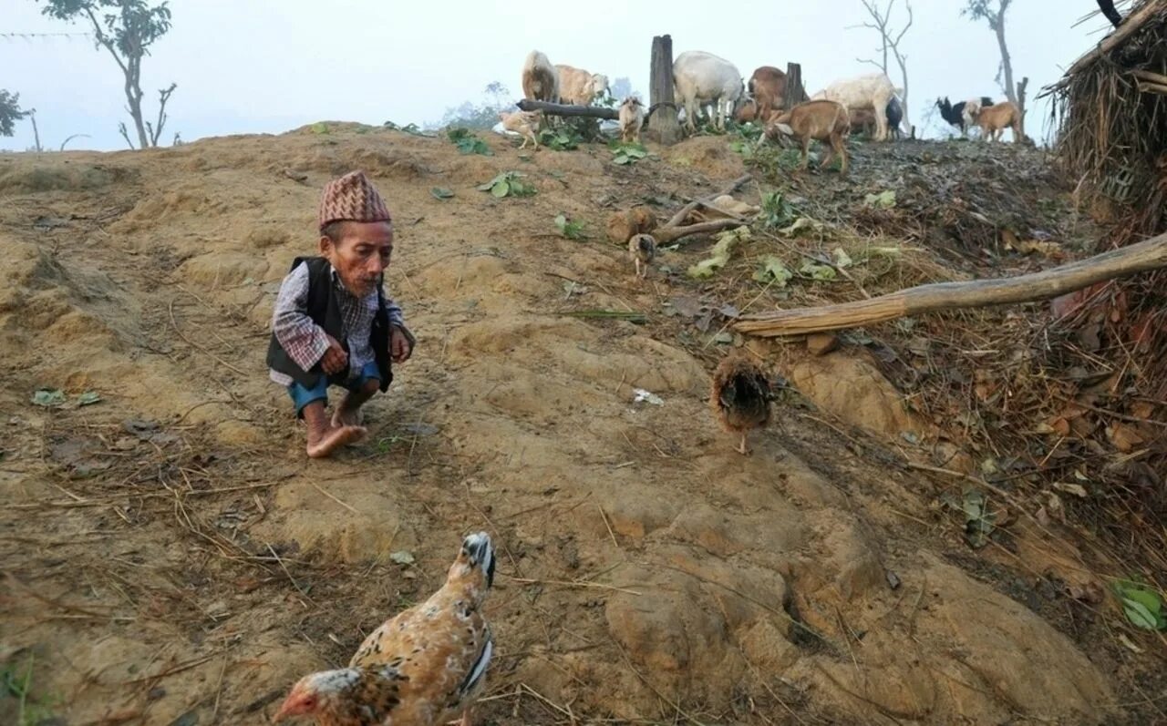 Самого 1 человека на планете. Самый маленький человек в мире Чандра Бахадур Данги. Чандра Бахадур Данги из Непала. Чандра Бахадур Данги смерти. Маленькие человечки на земле.